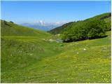 Križovec - Belska planina (Svečica)